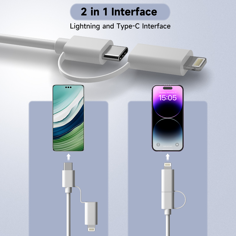 2 in 1 Oral Camera for Type-C/ - Endoscope Inspection Camera 评论和价格