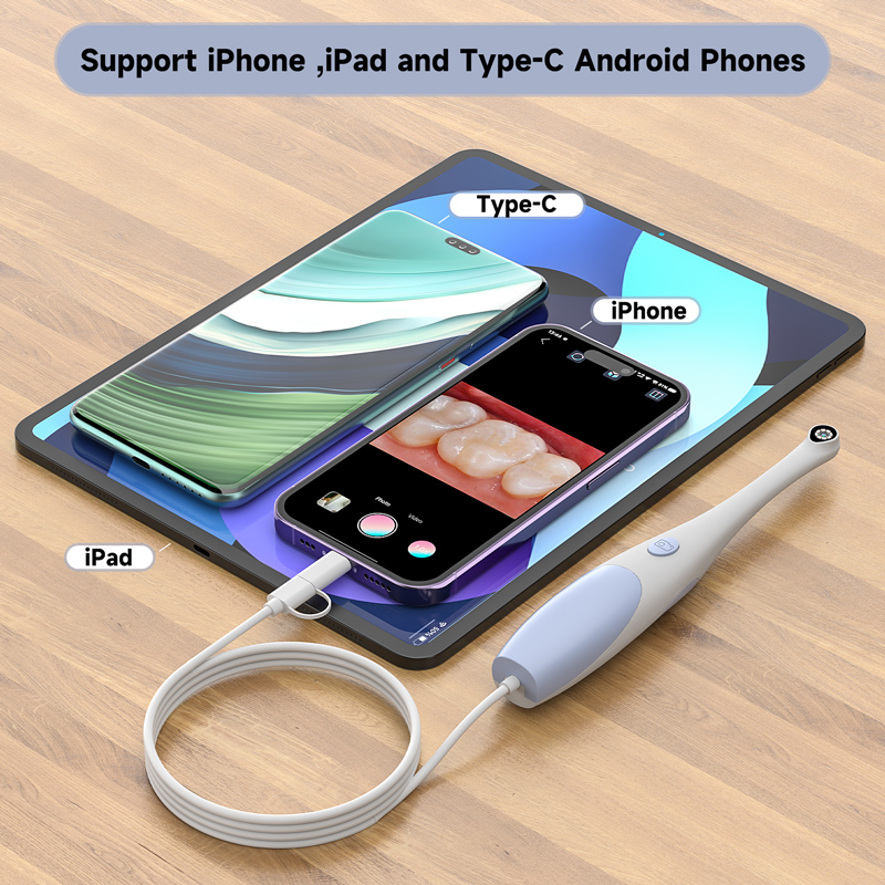 2 in 1 Oral Camera for Type-C/ - Endoscope Inspection Camera 评论和价格